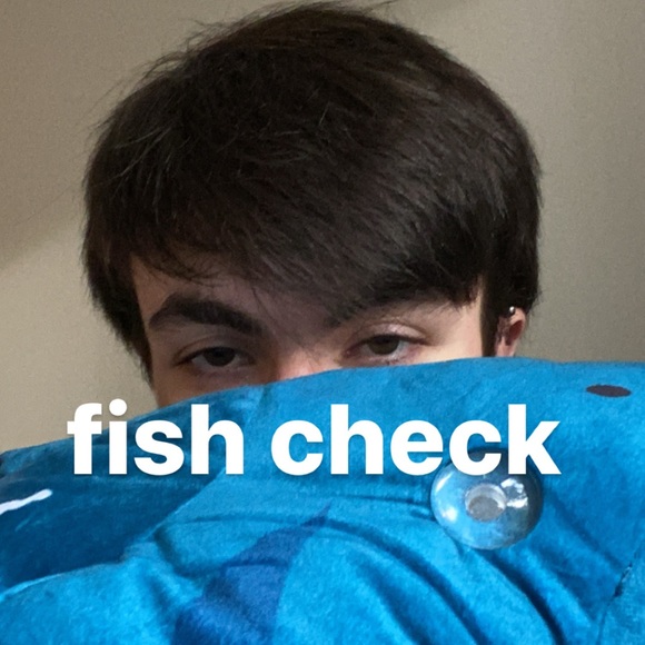 Meet your Posher, Newton - Picture 1 of 1